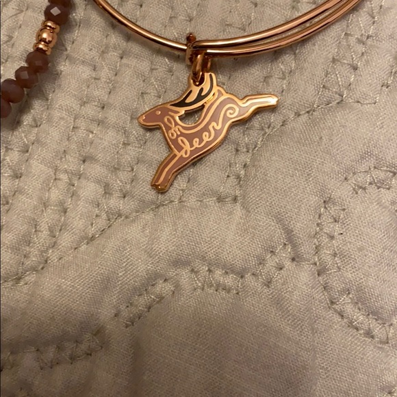 Alex and Ani holiday set 2017 - Picture 2 of 6